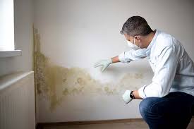 Best Water Damage & Mold Remediation in Schulenburg, TX